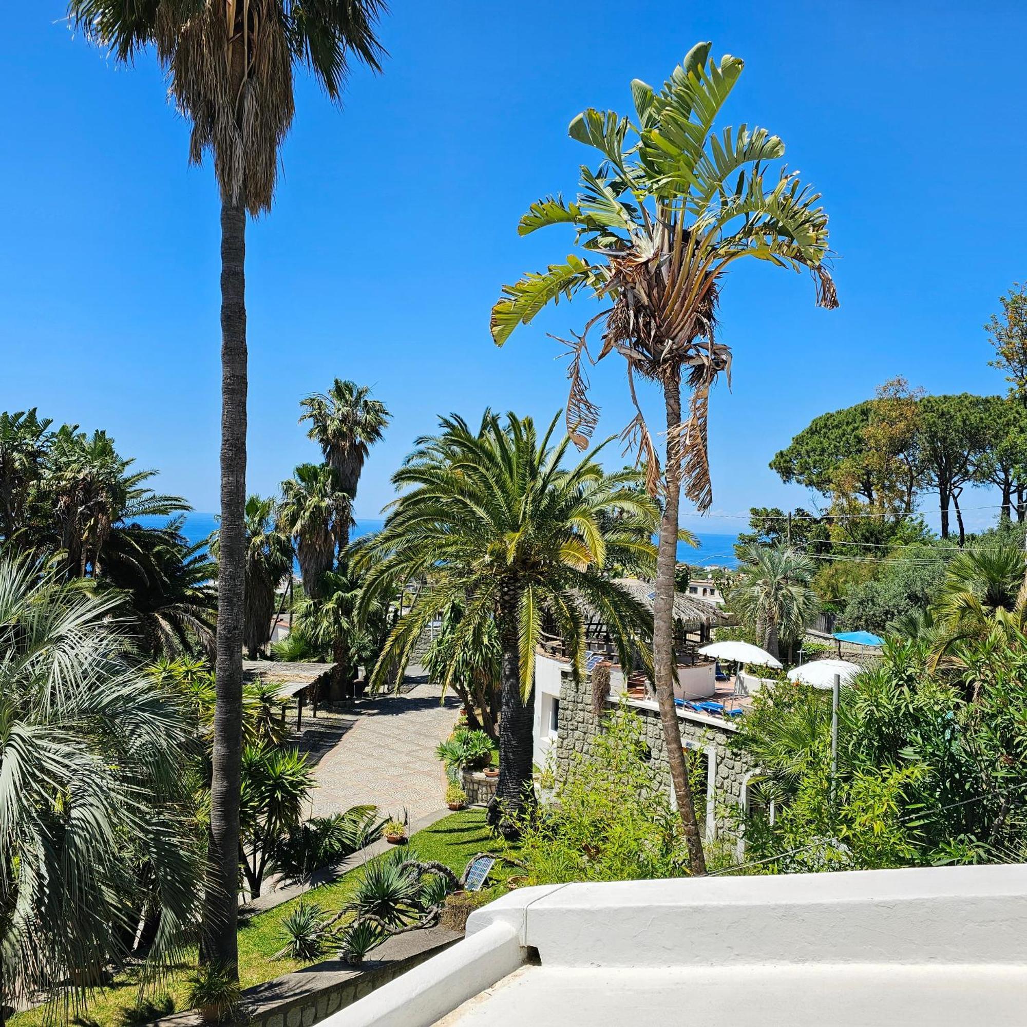 Paco Residence Benessere & Relax Forio di Ischia Quarto foto